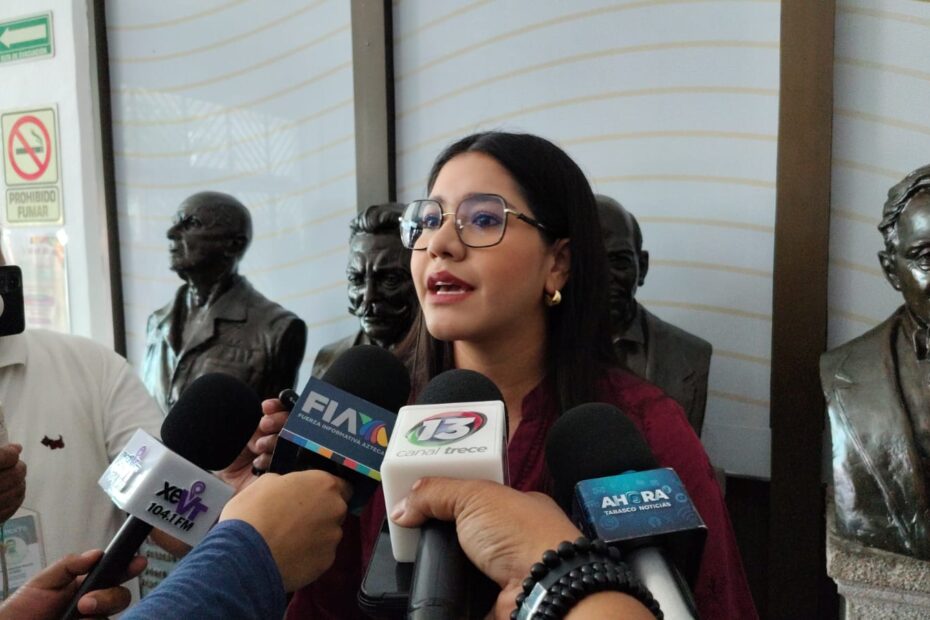 Caso Paraíso debe ser un ejemplo para todos los funcionarios: Alejandra Navez