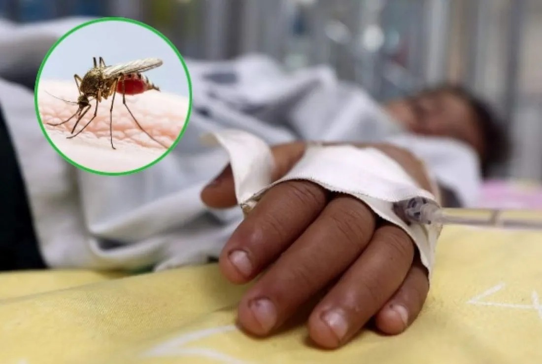Se confirma primera muerte por dengue en Tabasco