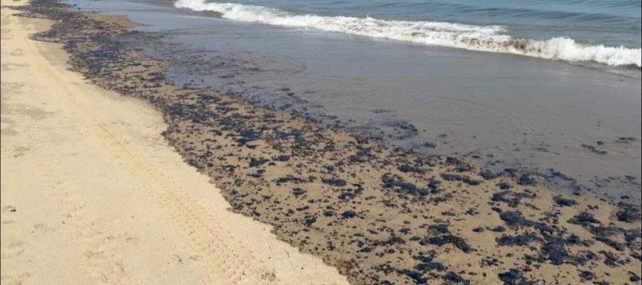 Paraíso en alerta: residuos de hidrocarburo contaminan playas y afectan pesca