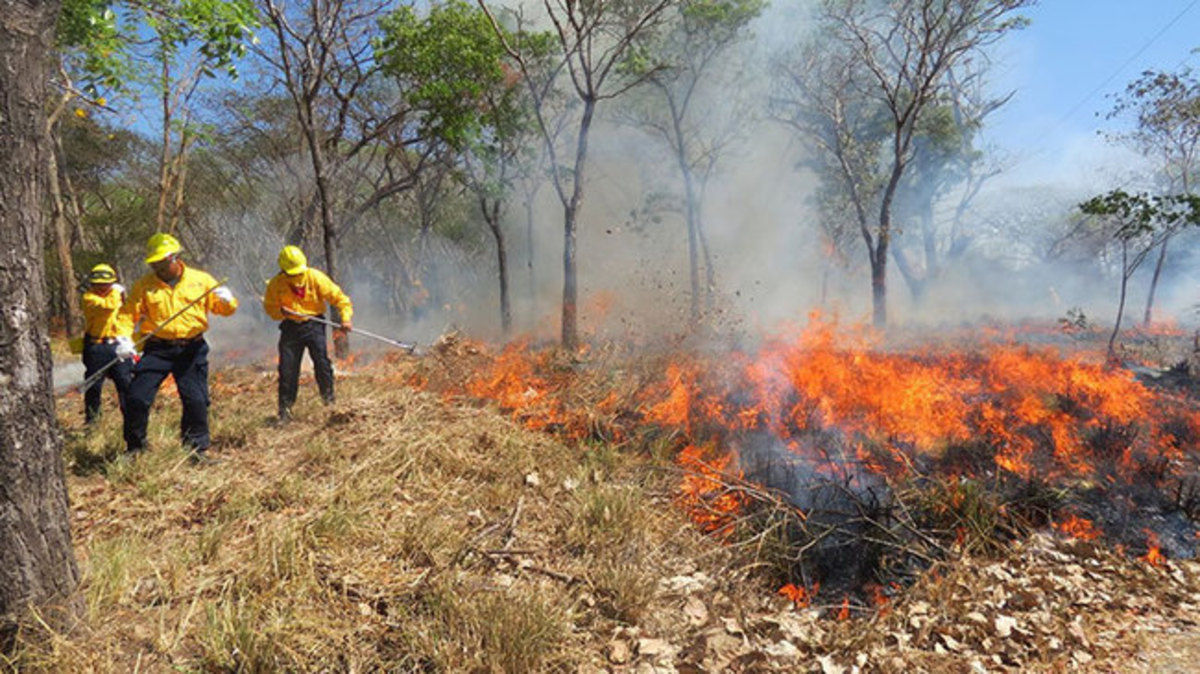 Suman 359 incendios de pastizales en Tabasco; lluvias recientes ayudan a mitigar riesgos