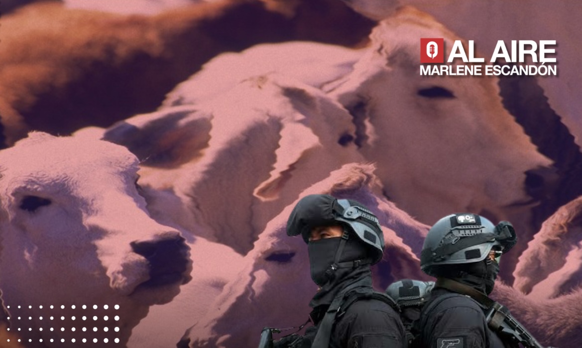 Aseguran 330 cabezas de ganado y detienen a cuatro personas en el ...