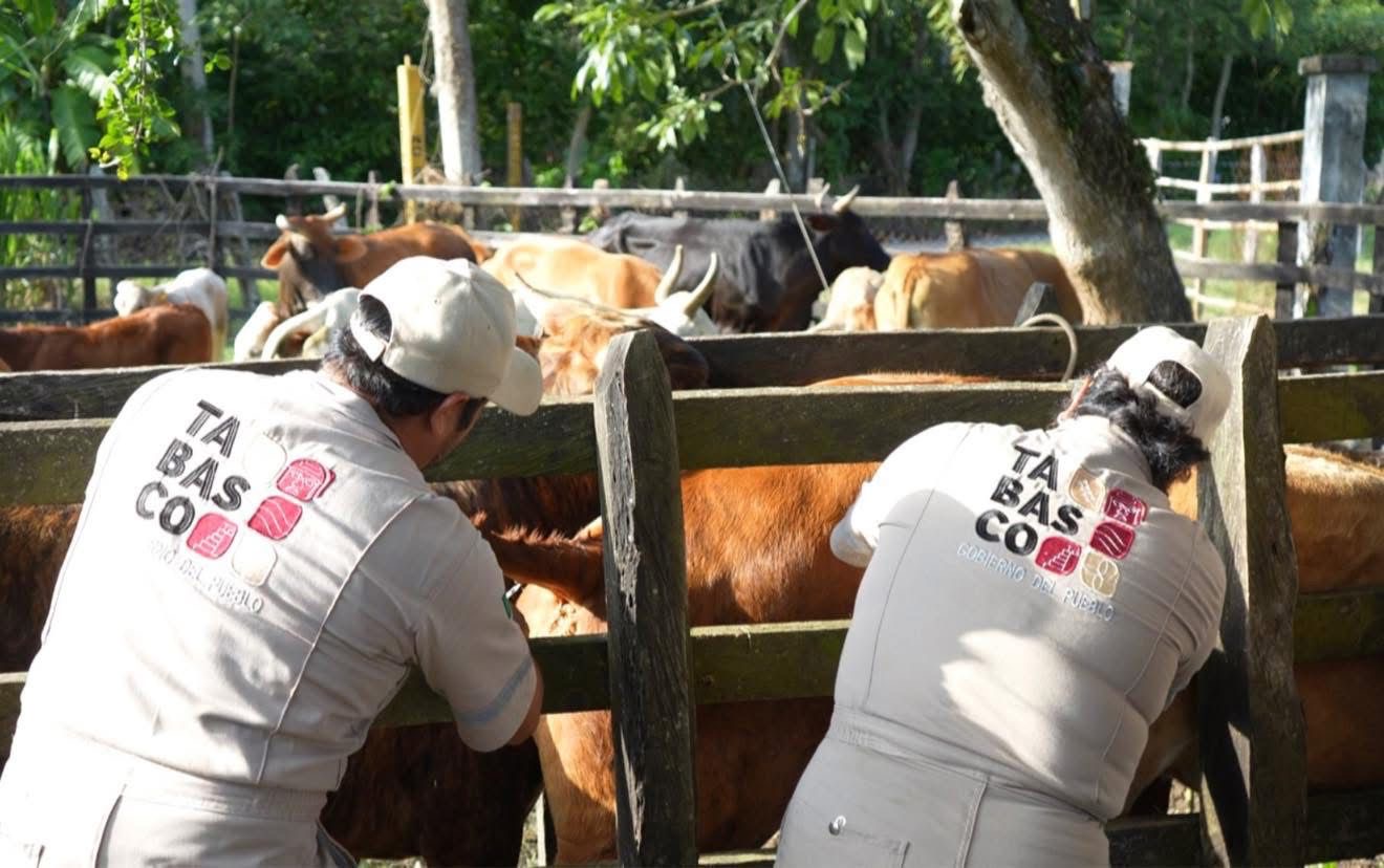 Realizan barrido en más de mil 500 predios de la colonia Francisco Villa para su posible regularización 