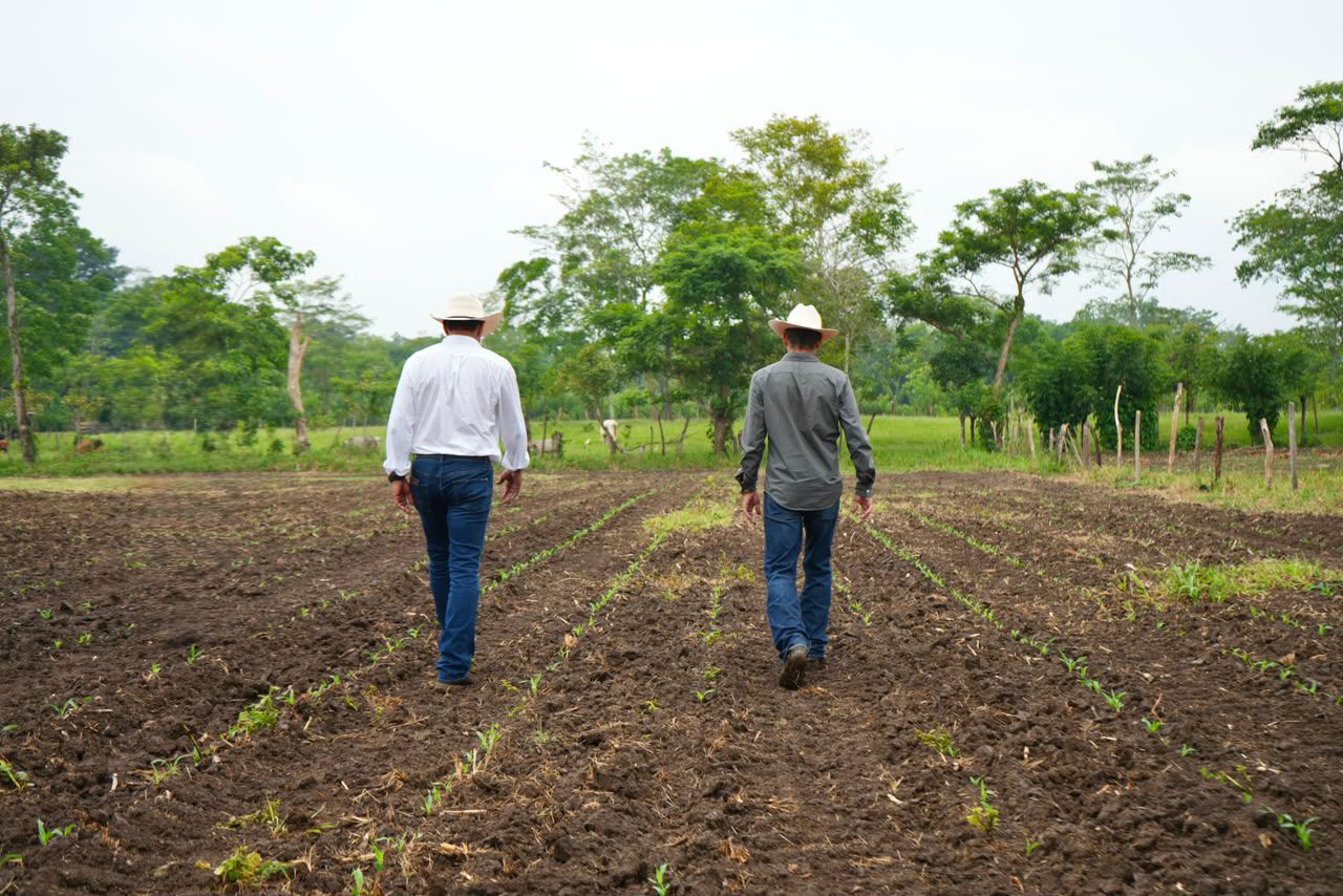 Impulsa Gobierno de Tabasco programa de Riego Suplementario para fortalecer la producción agrícola