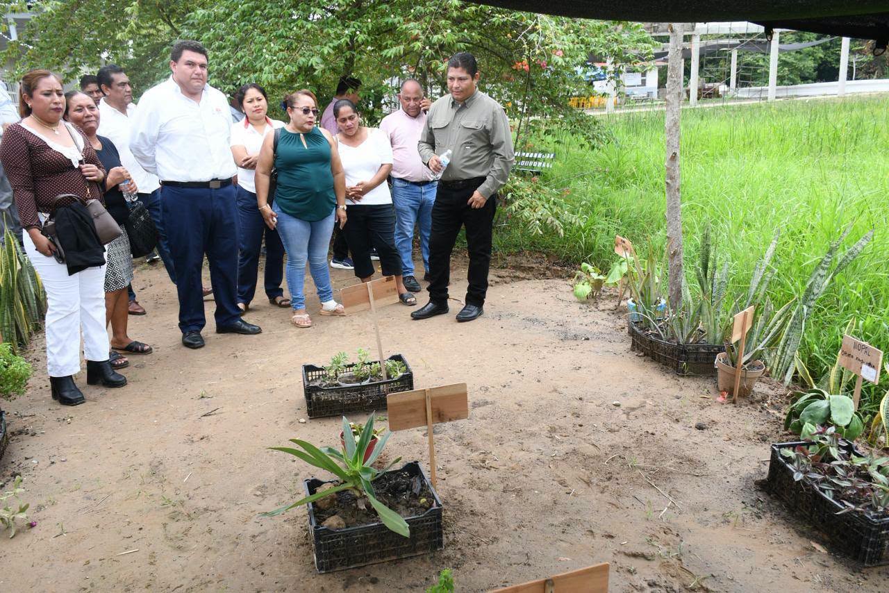Establecen jardines herbolarios comunitarios en Jalpa de Méndez