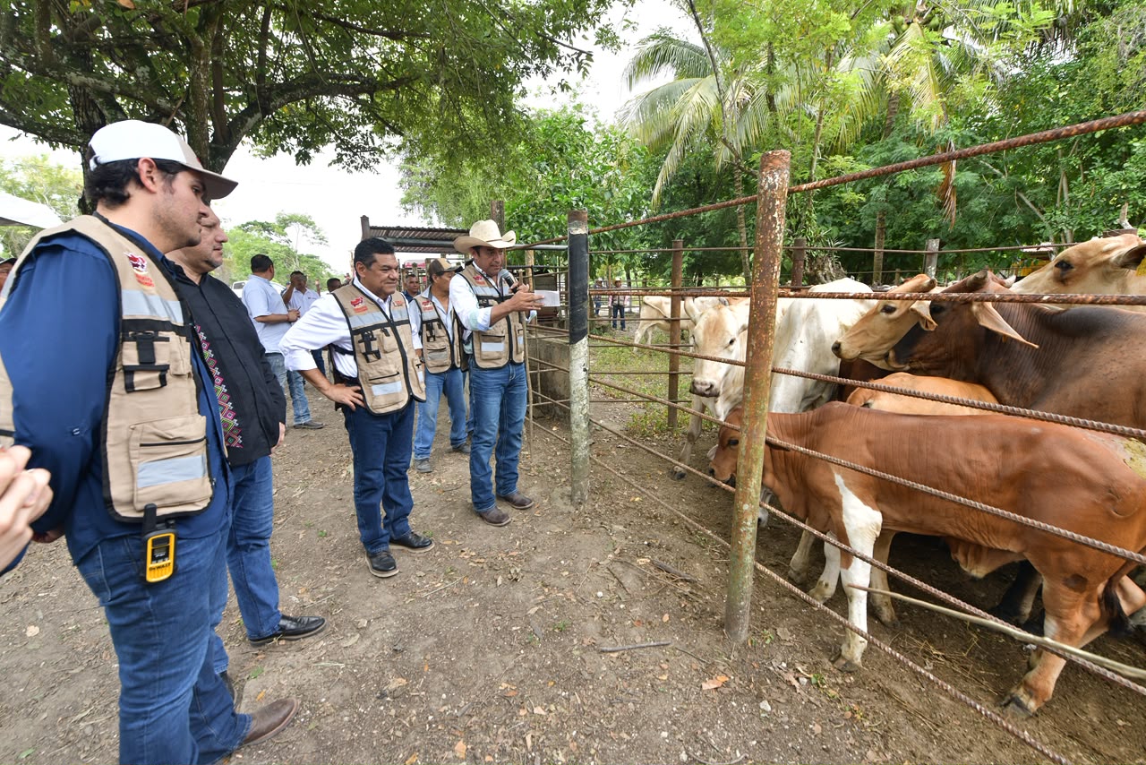 Crédito Ganadero a la Palabra suma más de mil 500 nacencias en Macuspana