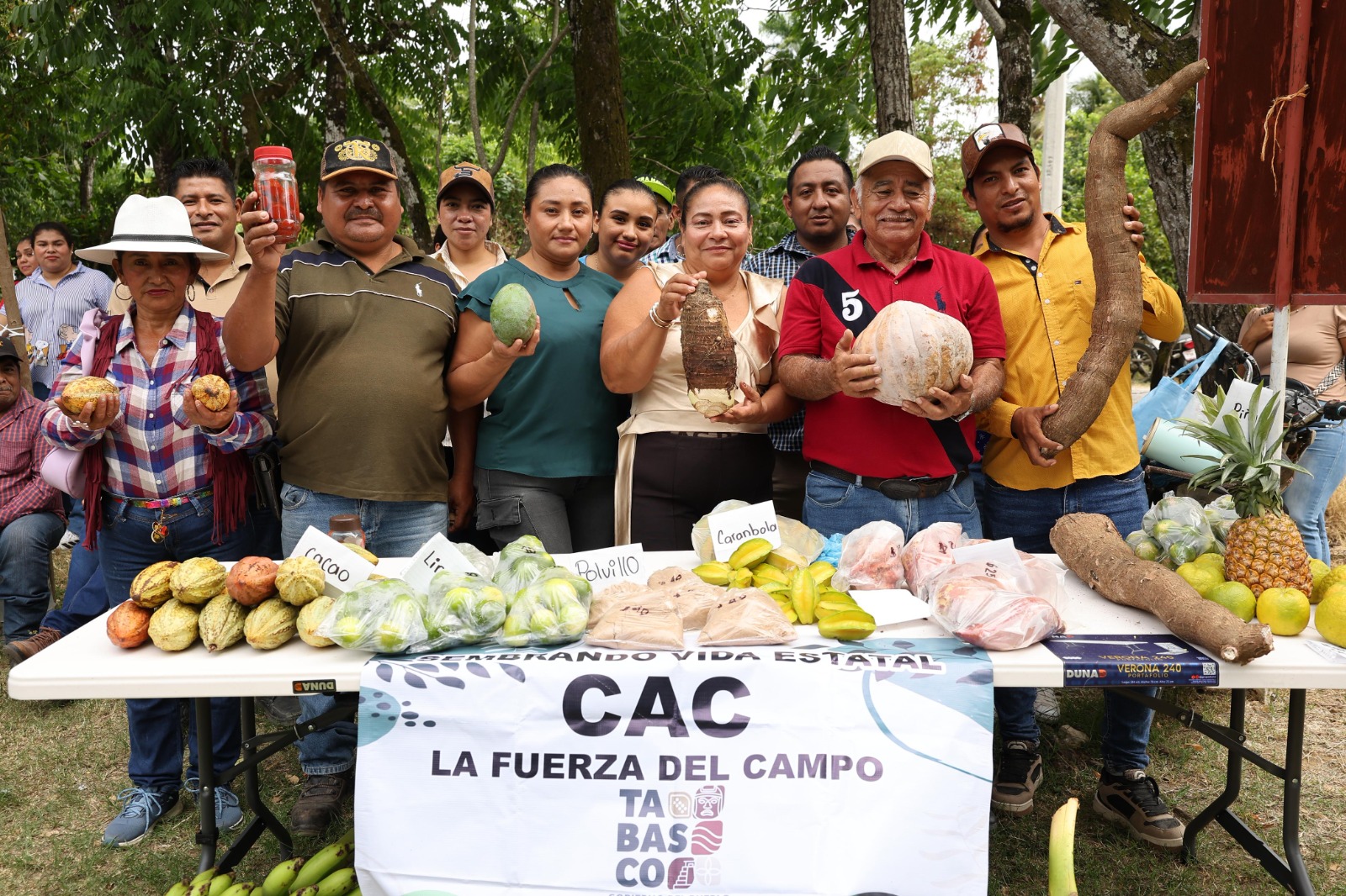 Sembrando Vida es el programa que más empleo genera en Tabasco: Javier May