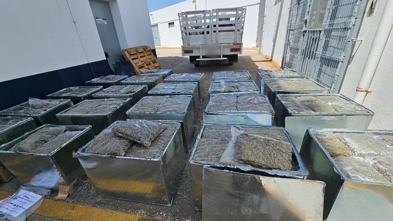     Aseguran 600 kilos de presunta marihuana en Huimanguillo; hay un detenido