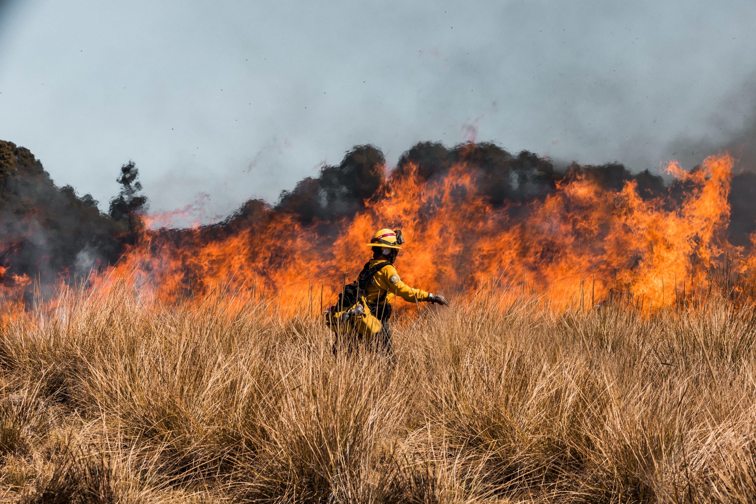 Van más de 110 incendios de pastizales atendidos en 2026