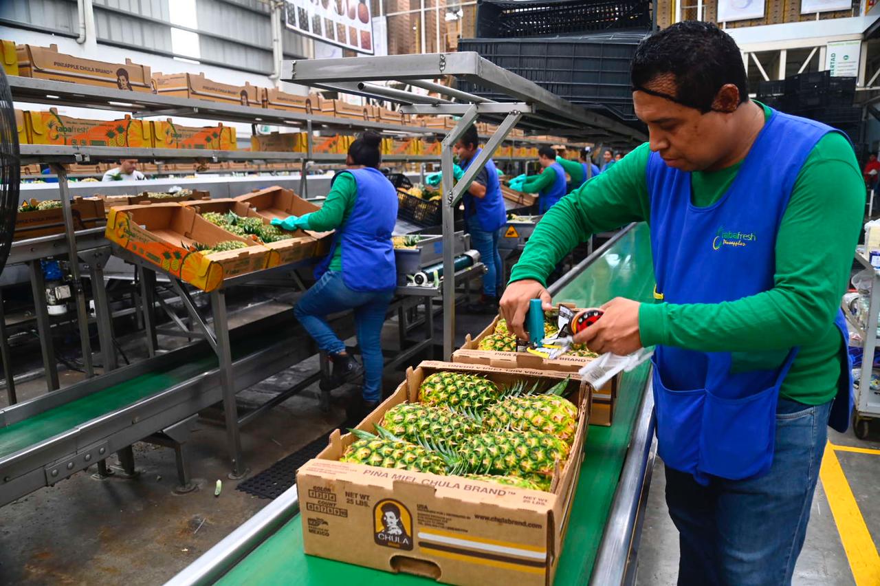 Tabasco suma 39 mil personas más con empleo y reduce desocupación a 3.5%: Gobierno