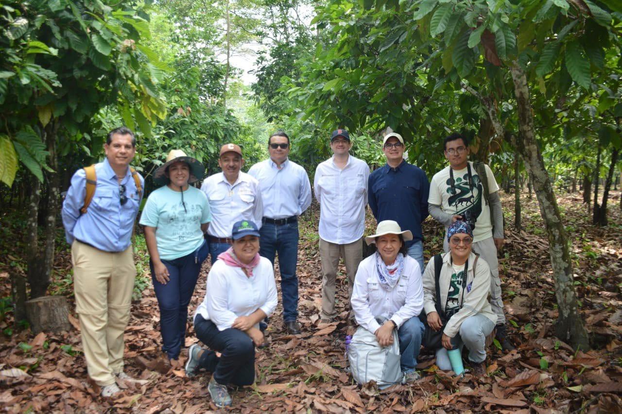 REFORESTAN ZONAS DE MONOS AULLADORES EN COMALCALCO.